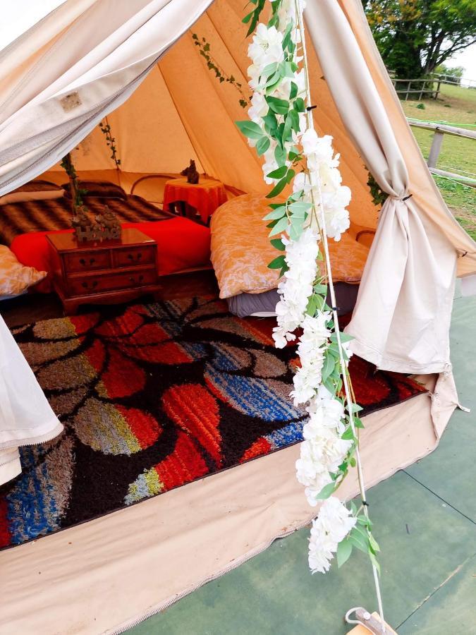Walnut Tree Glamping Hotel Sturry Bagian luar foto